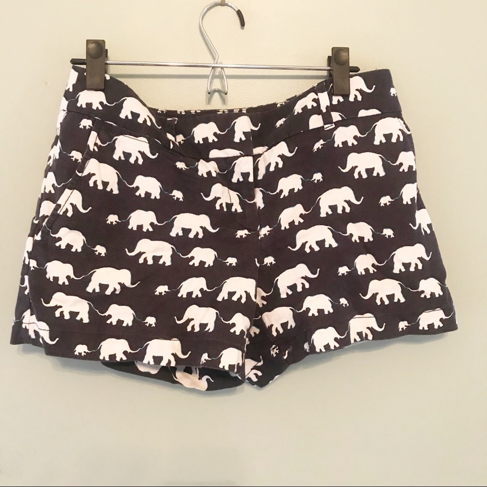 Loft Navy Blue & White  Elephant Shorts Size 0